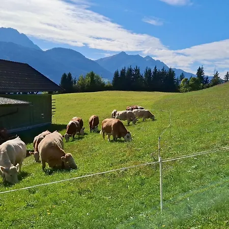 Waldpension Ranner By Interhome Daire Steinfeld