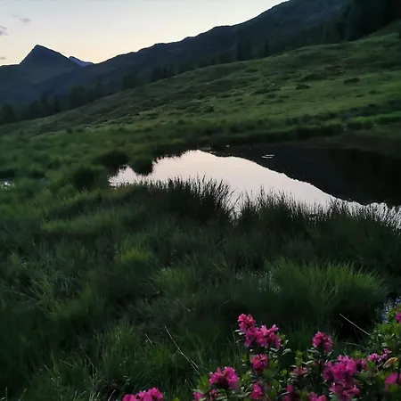 Waldpension Ranner By Interhome * Steinfeld