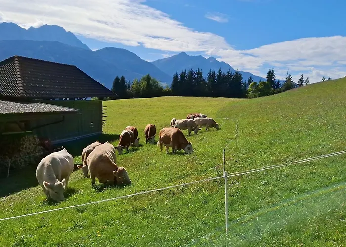 Waldpension Ranner By Interhome Apartment Steinfeld