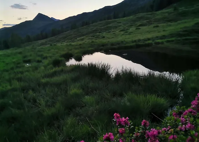 Waldpension Ranner By Interhome * Steinfeld